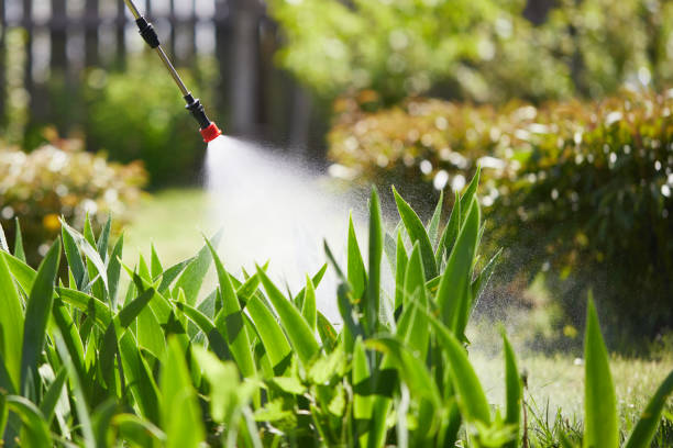 Tamper-Resistant Bait Stations for Rodents in East Brady