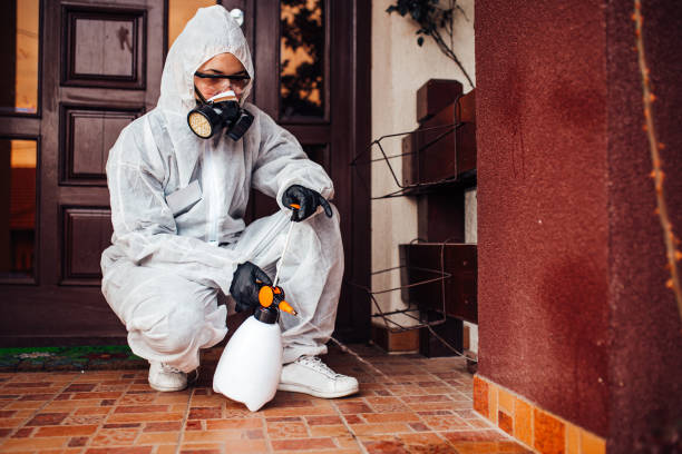 Attic and Crawl Space Rodent Treatment in East Brady
